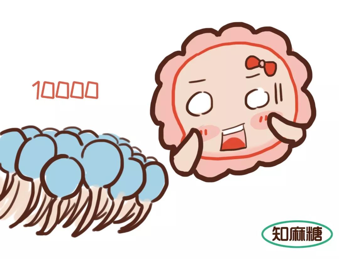 什么是试管婴儿费用一般多少,什么是试管婴儿解释