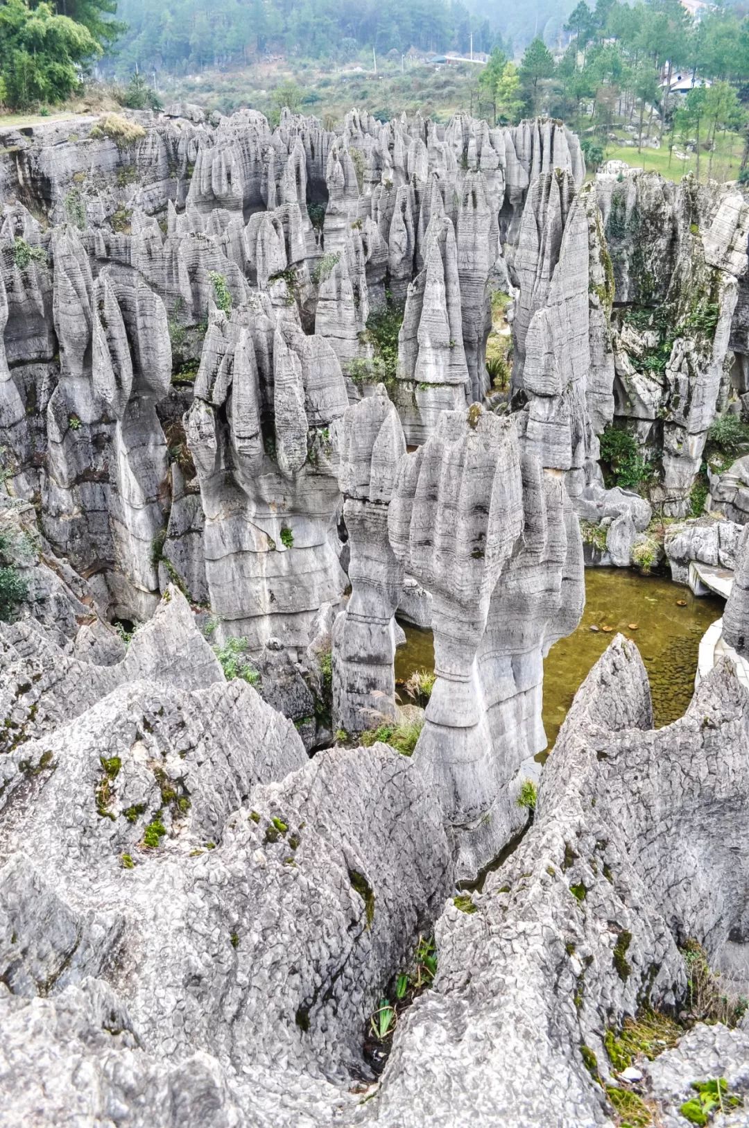 中国南方喀斯特环江,中国南方喀斯特