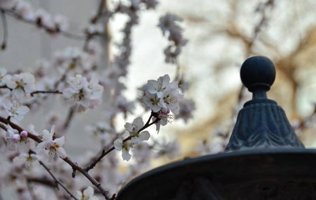 长春免费景点大全集图片,长春市最值得玩的景点排名前十