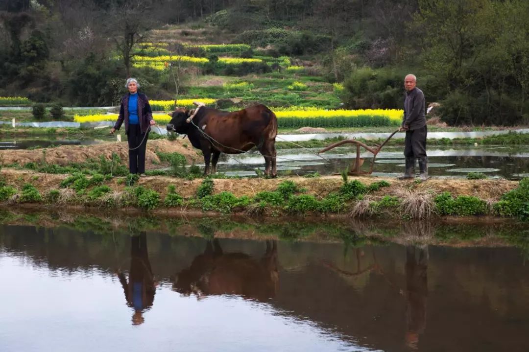 枞阳摄影师,枞阳拍照写真
