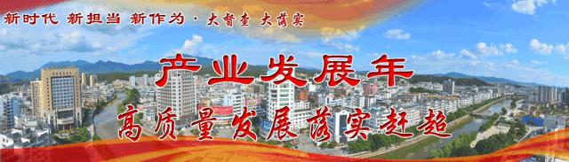 武平版飞鱼团来了！全国游泳城市系列赛他们揽回6金4银3铜~