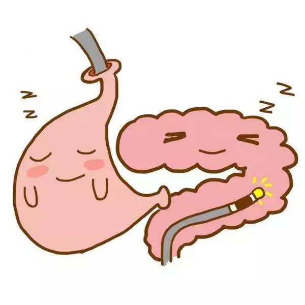 聊聊脾胃那点事,聊聊胃肠镜