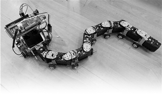 像蛇不像蛇的东西,不像蛇不像蚯蚓的爬行动物