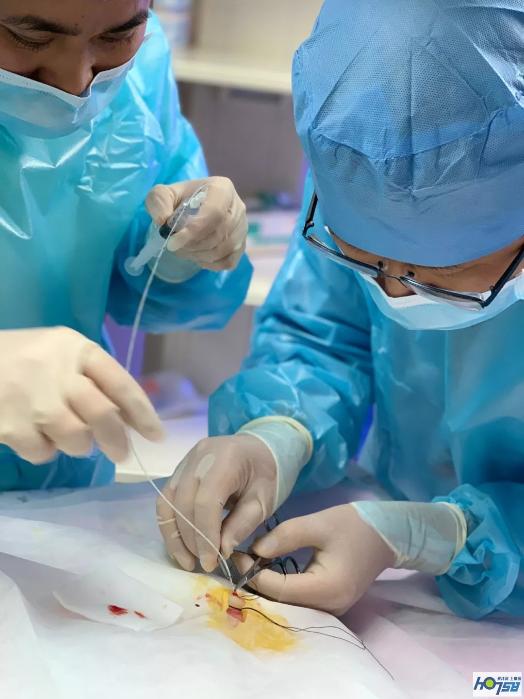 缂栫粐鐢熷懡涔嬬綉,缂栫粐鐢熷懡涔嬬綉浣滃搧