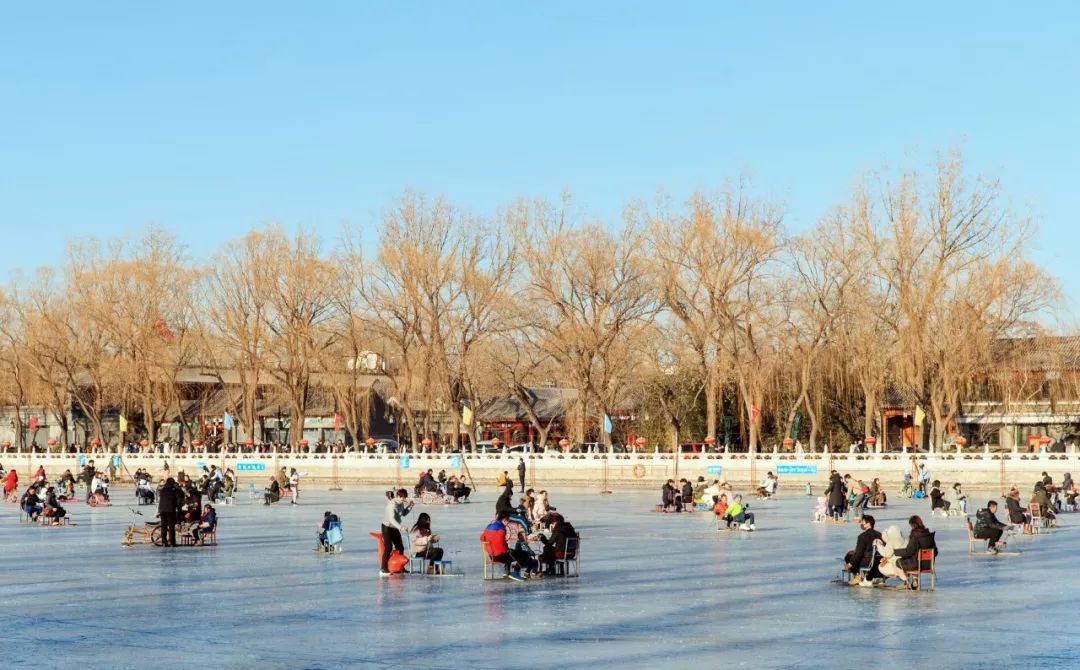 北京姑娘开民宿,北京姑娘开了家胡同民宿