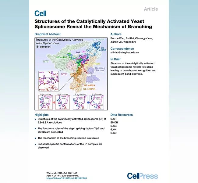 最新发布的科技成果网站,科技研发最新成果素材