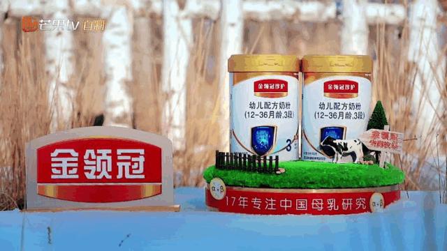 聊育儿|明星辣妈在线教学，这才是「妻子的浪漫旅行2」的正确打开方式