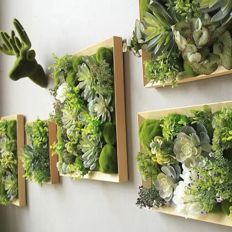 绿植装饰艺术,绿植造型效果图