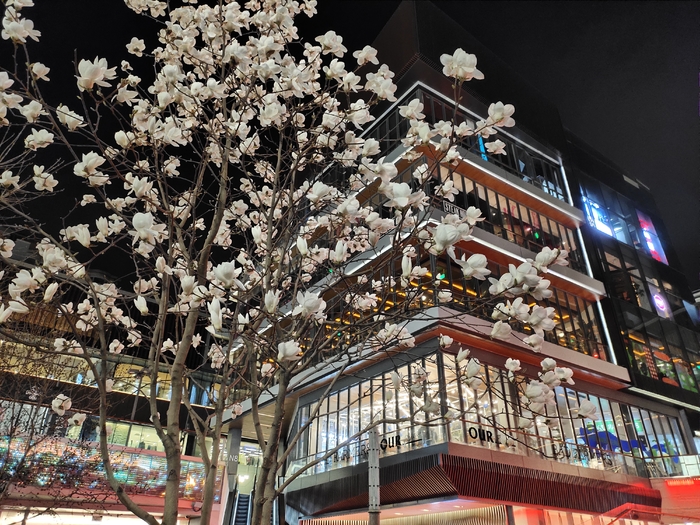 孔雀开屏般的美丽vivox27测评,vivox27采用的是什么屏旗舰版