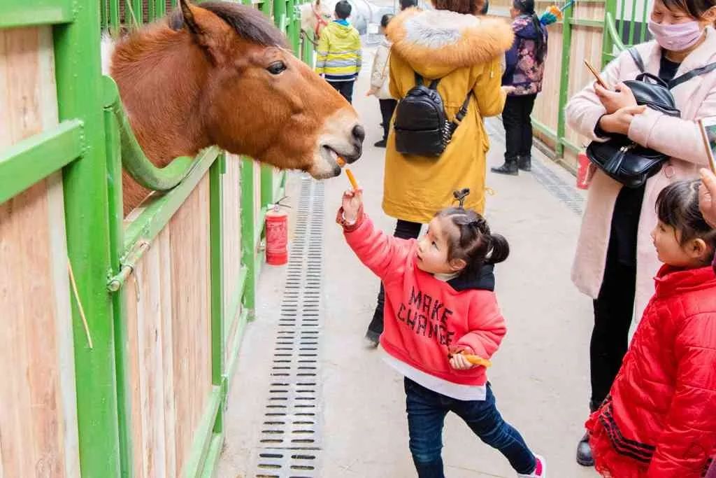 缁忓紑鍖哄ぇ浜嬩欢,瑗垮畨缁忓紑鍖哄ぇ浜嬩欢