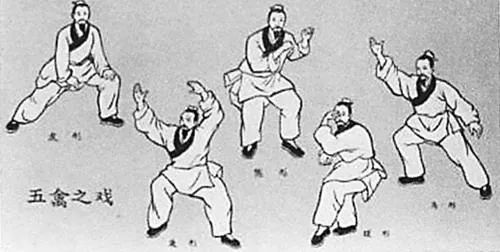 爬行运动专家讲解,中老年适合爬行运动