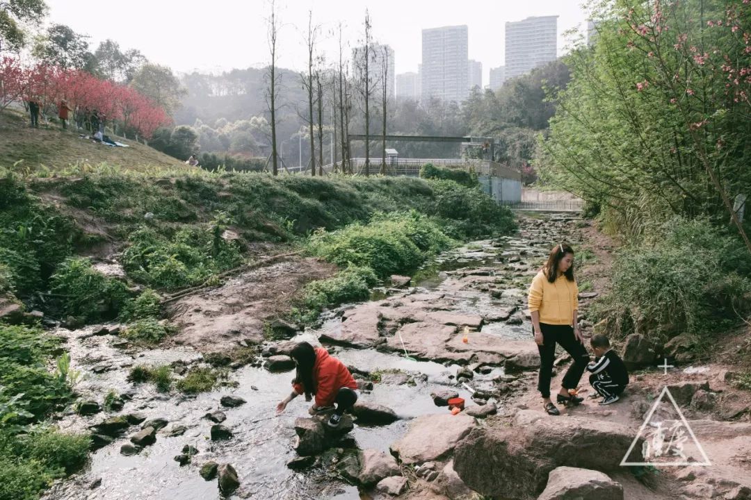 2019重庆优惠活动,重庆最新全图