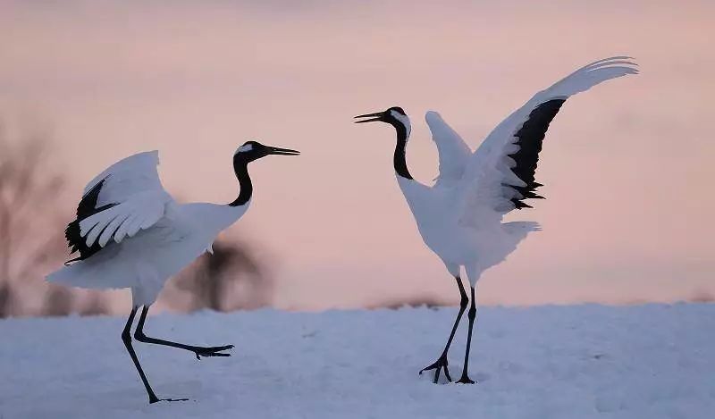 一个动作一周怎么练成腿精,一个正确的腿功怎样练