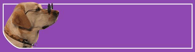 入门级铲屎官热门问题大盘点——你想知道的这里都有