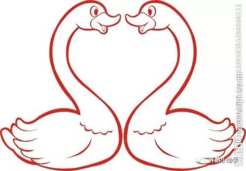 买了鹅苗怎么办,购买鹅苗注意什么