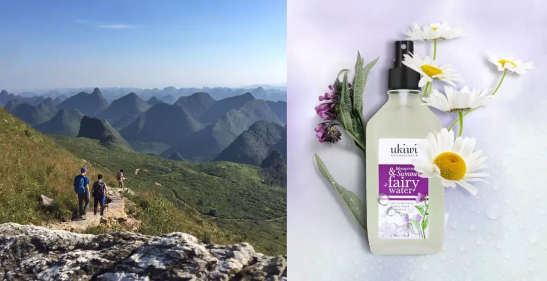 蚊子驱蚊驱虫,杀虫剂对蚊子有效又安全