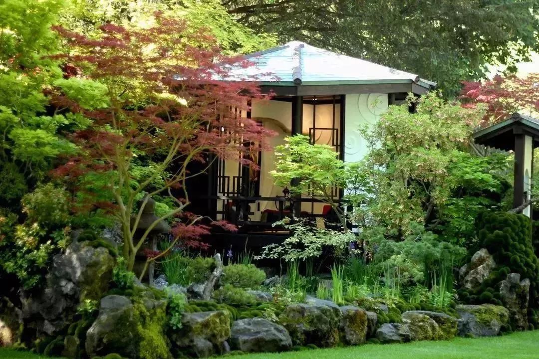 再也不羡慕别人家的果园,再也不用羡慕人家种的花