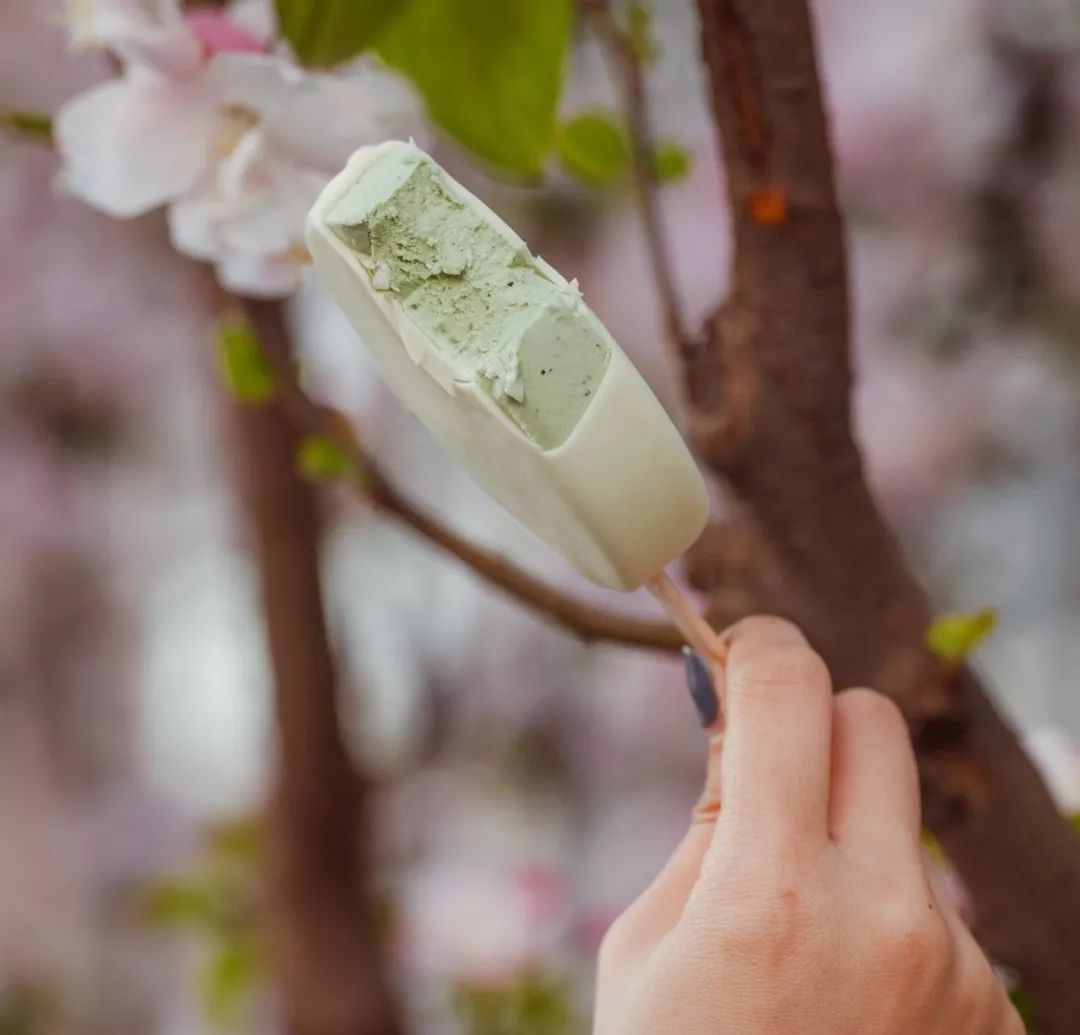 7.11便利店什么雪糕值得买,适合便利店的雪糕