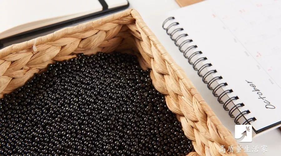 什么植物能吸收甲醛还能净化空气,吸甲醛最好的植物哪种排名第一