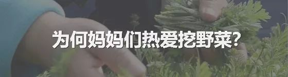 中国男人为什么走哪儿都爱拜把子？