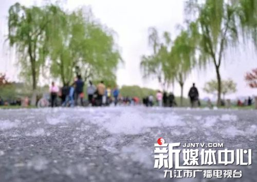 梧桐飞絮易引发皮肤过敏发红,梧桐树飘絮过敏症状