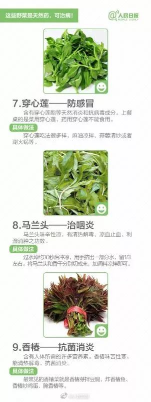 什么样芋头有毒不能吃,芋头吃了麻嘴有毒吗