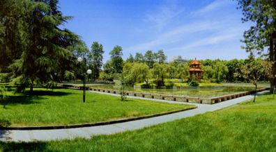 【独家重磅】四川大学:转专业政策友善创新人才培养体系助力本科生在校发表sci论文