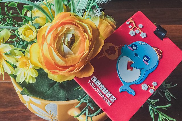 云南之旅丽江古城,回忆云南大理丽江之旅