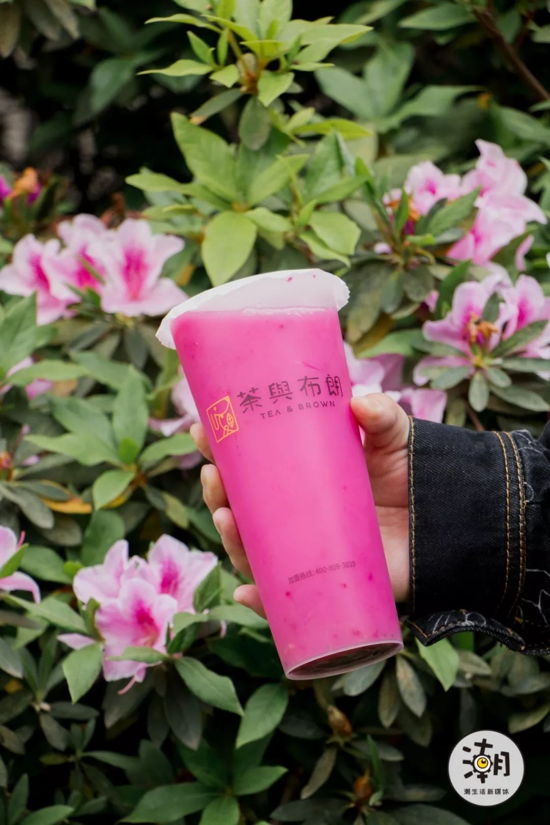 16年避风塘最火的奶茶,茶与布朗奶茶