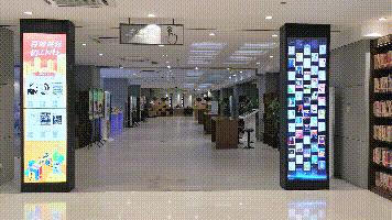 太原银杏林网红打卡地,太原网红打卡地景点