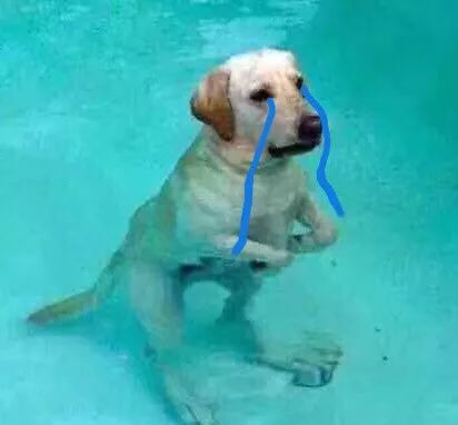 俄罗斯什么化妆品比较便宜,俄罗斯化妆品最便宜吗