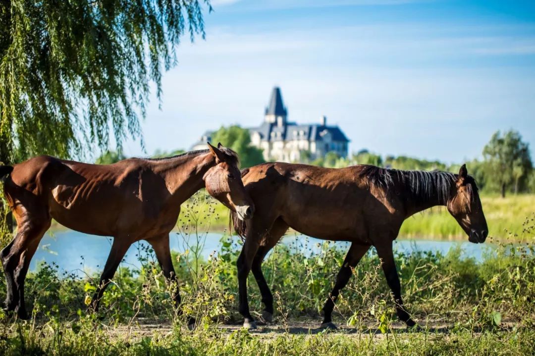 希尔顿酒店景点,希尔顿酒店附近游玩攻略