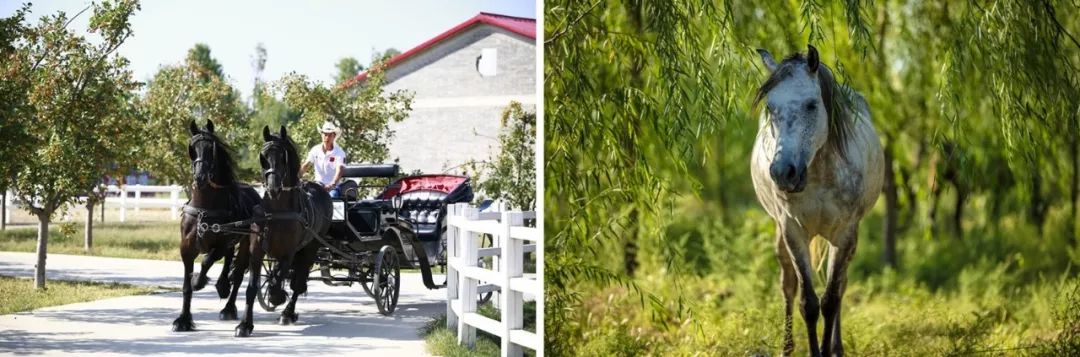 希尔顿酒店景点,希尔顿酒店附近游玩攻略