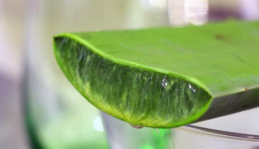 芦荟胶补水保湿提亮肤色晒后修复,祛痘晒后修复保湿补水芦荟胶