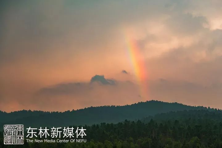 东林发信,东林大佛一封信