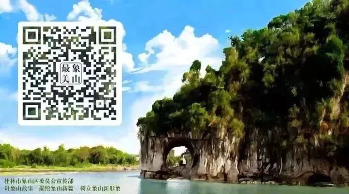 喜报学校获全省教育系统多项表彰,桂林崇善小学