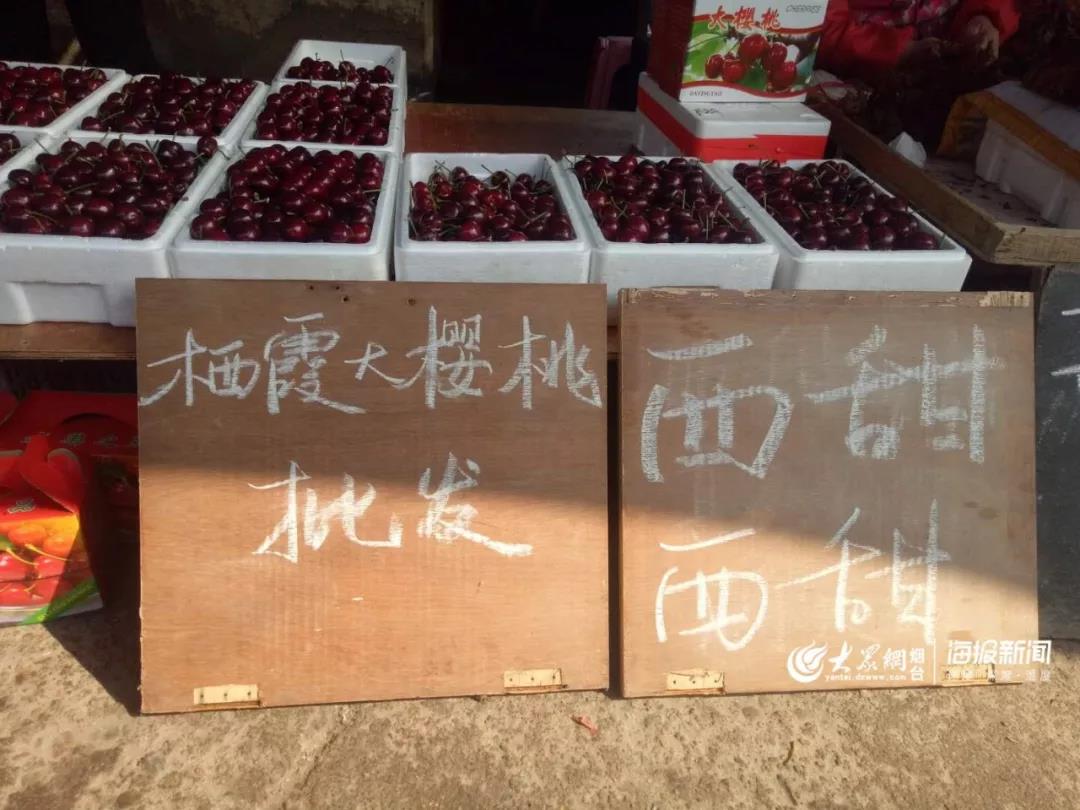 高价大量收购香椿,大量收购香椿树果子