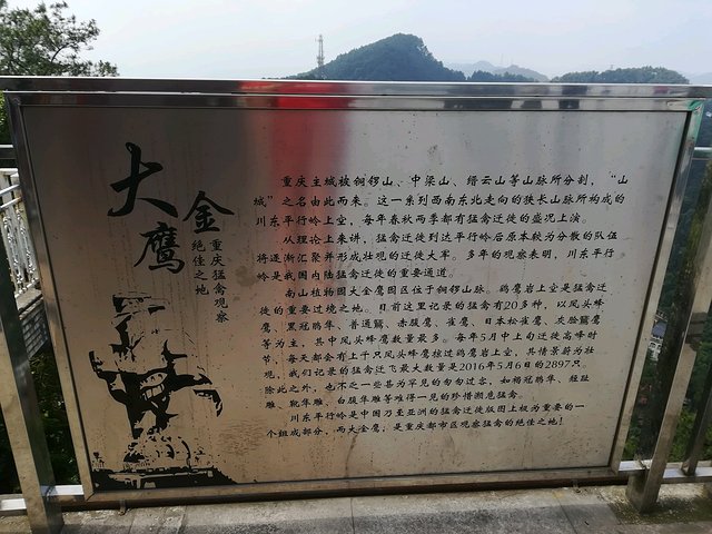 长江三峡重庆游七天六晚,重庆慢节奏旅游攻略