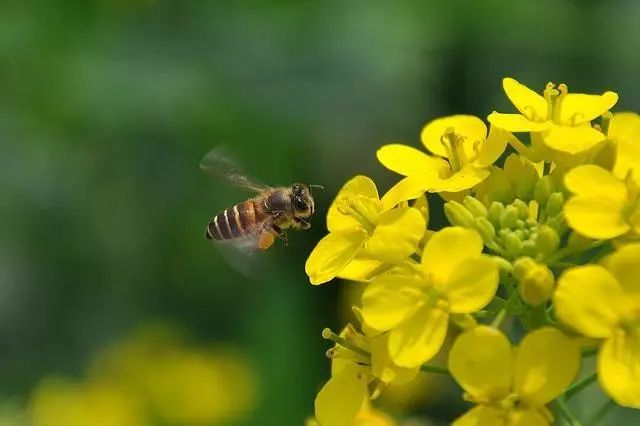 集结号你绝对不知道的军事细节,兵哥哥们集训遇歹徒追歹徒