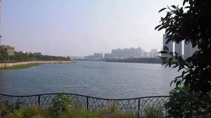 厦门最美环海步行栈道,厦门必去的十大跑道