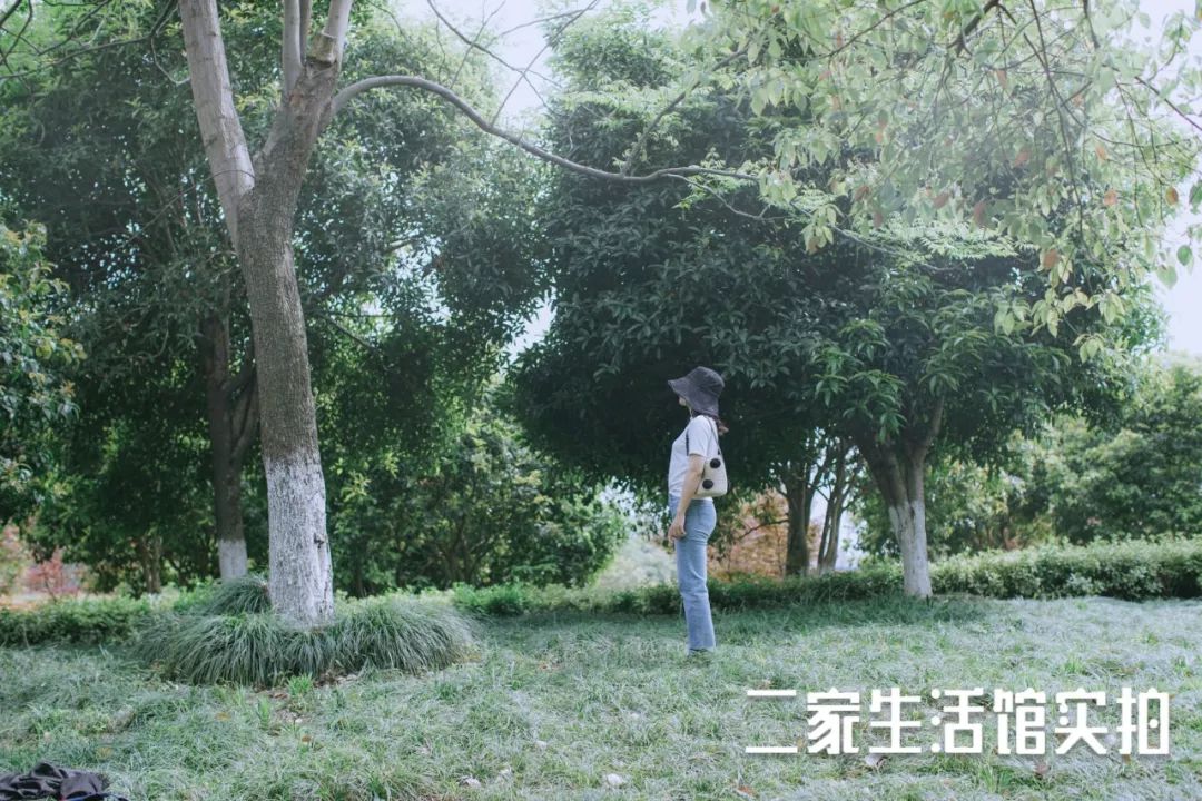 这个几十块的小玩意,你身边的仙女们已经人手一个啦!