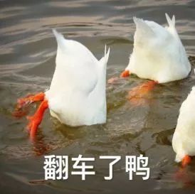 英语我没有时间怎么表达,我没时间英语三种表达