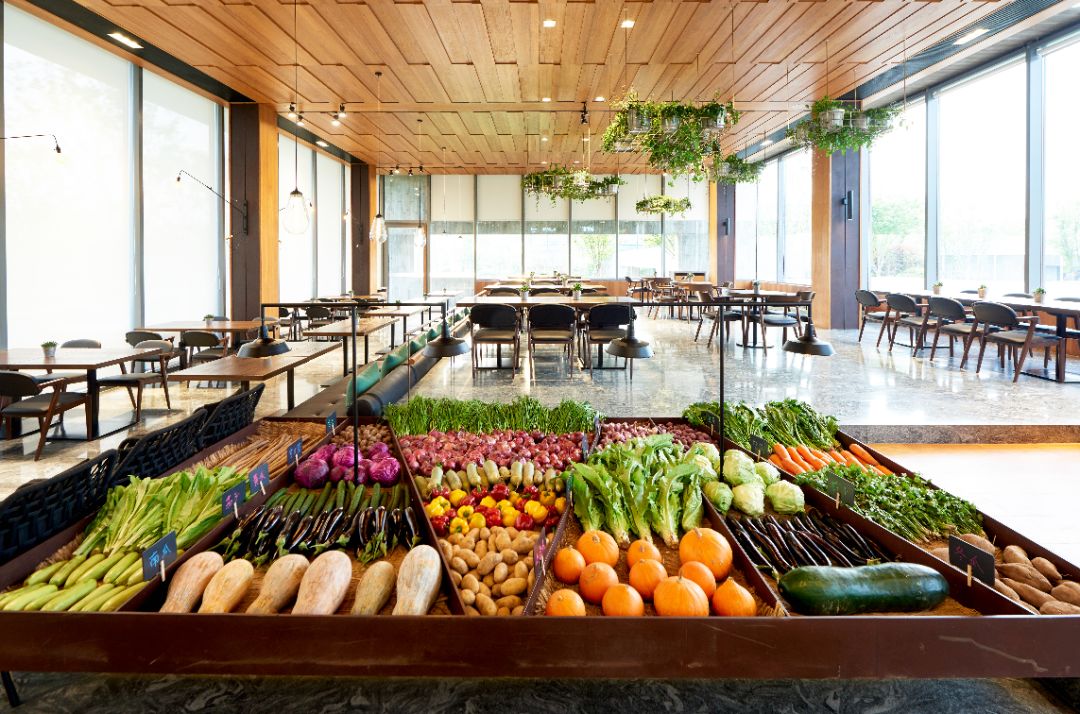 来郑州一定要去一趟北龙湖,郑州龙湖公园和北龙湖湿地公园