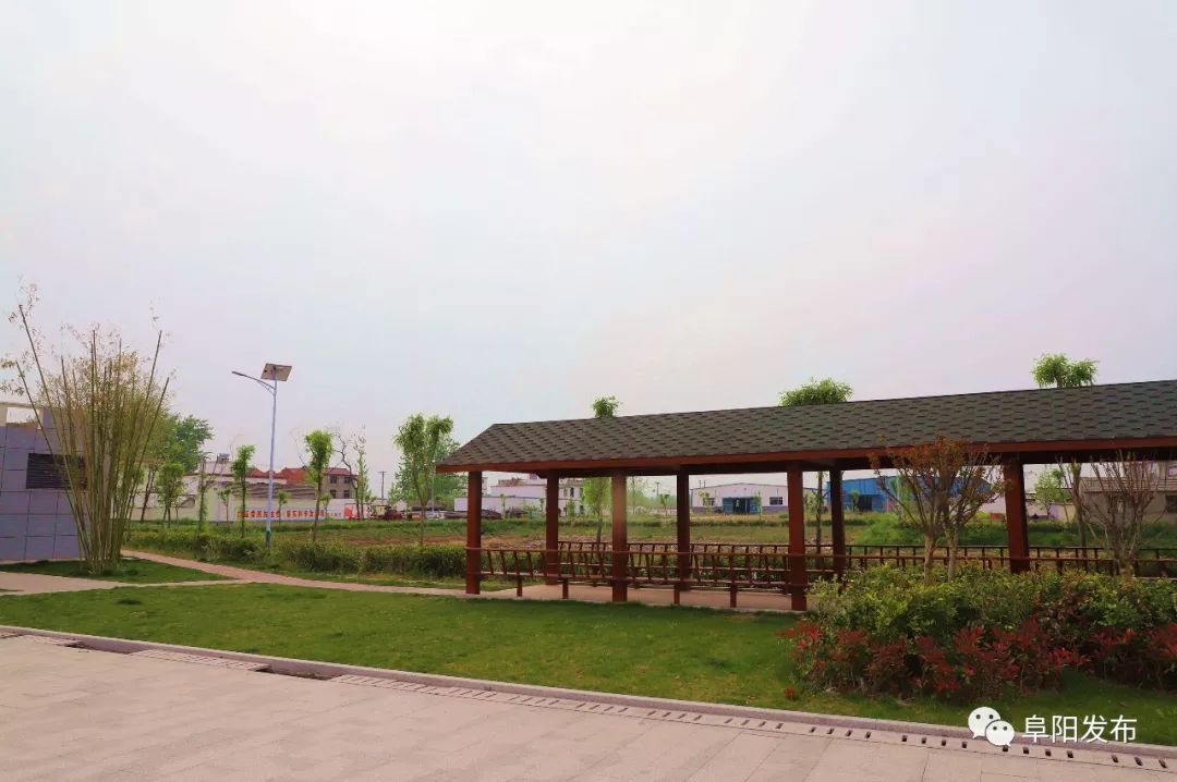 新疆昭苏县千亩芍药盛开,3a景区有哪些村