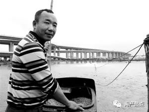 8亩鱼塘养鱼养鸭的利润,养鹅养鱼的利润有多大