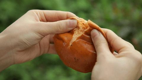 广州便宜又好吃的面包店,广州最好的日式面包店