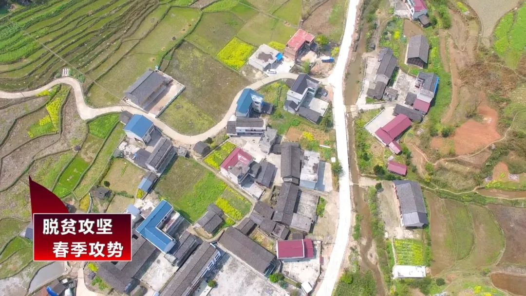 八月瓜，成为一碗水乡村民的增收“致富瓜”