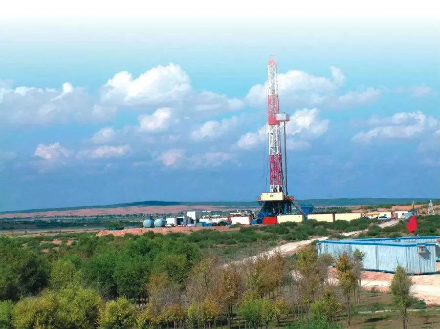 牛原本个人资料,内蒙古主要有哪几种牛