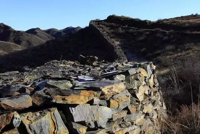 内蒙古哪里的牛最好,内蒙古的牛和其他地方的牛