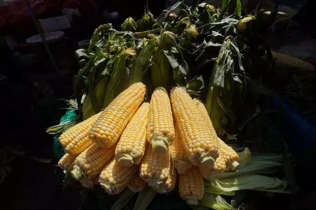 剑川菜市场,剑川县农贸市场买菜